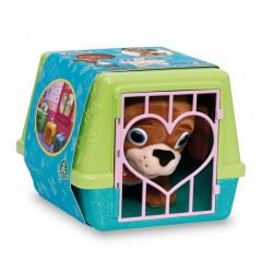Dlp - Coffret Panier De Trans