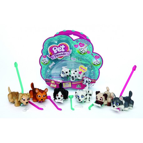 Pp Blister 1 Pet - Chien + Os