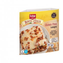 300G Lasagne A La Viande Sg