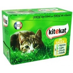 4X100 Pochon Kitekat Ass.