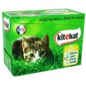 4X100 Pochon Kitekat Ass.
