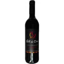 75Cl Vin Espagne Rouge Castille Gota 2011