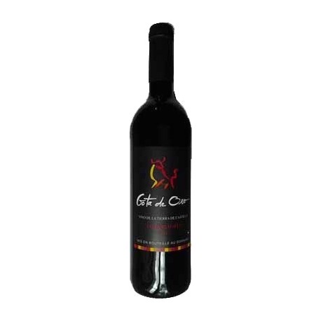 75Cl Vin Espagne Rouge Castille Gota 2011