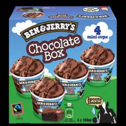 B&J Minipot Choc.Brown X4 288G