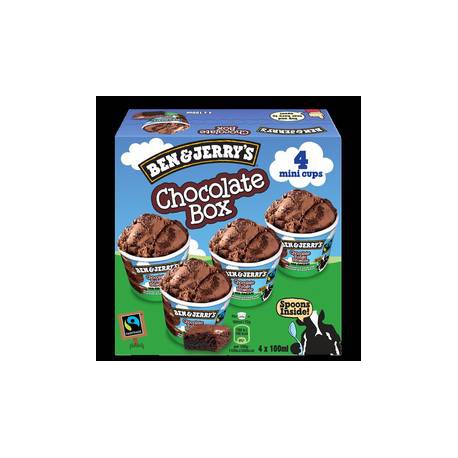 B&J Minipot Choc.Brown X4 288G