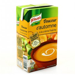 Brick 1L Soupe Dcr Automne Knorr