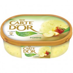650G Bac Sorbet Pomme Cdo