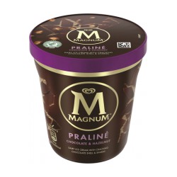 Magnum Pot Nois.Praline 297G