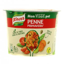 72G Veggie Pot Penne Knorr