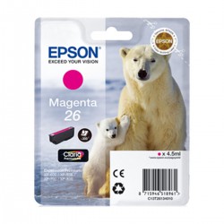 Epson Serie Ours Polaire Magen