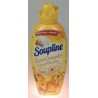 Soup Soin Complet Ensolei 1.2L
