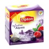 Lipton Infusion Des Alpes 20 Sachets Pyramid
