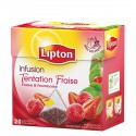 Lipton Infusion Tentation Fraise Framboise 40G