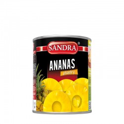 Canned Fruits Pineapple Slices 3100Ml