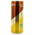 Red Bull Red Bull Ginger Ale 250Ml