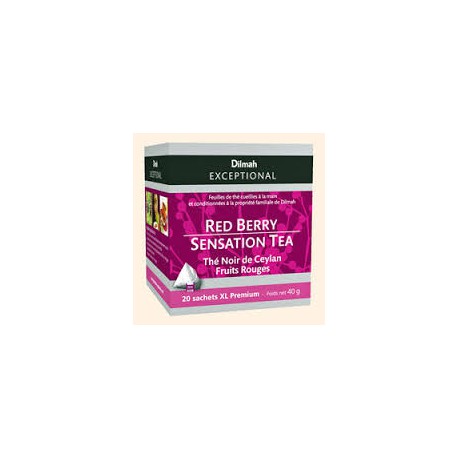 40G Sct The Noir Fruits Rouges Epidis