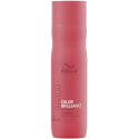 Wella Invigo Color Brilliance  Color Protective Shampoo Fine/Normal 250Ml