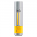 Lc Visible Repair Express Conditioner 250Ml