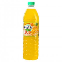 Bouteille Pet 1,5L Volvic Jus Fruits Exotiques