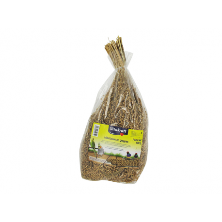 Vitakraft Millet Blanc 500 Gr
