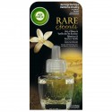 Recharge Electrique Rare Bois Air Wick
