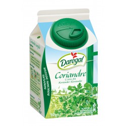 50G Coriande Surgelee