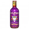 Bouteille Pet 1.5L Cock. Fruit Arizona