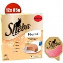 12X85G Bq Mousse Sheba