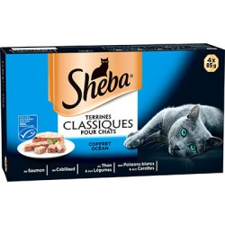 Sheba Sheba Océan 4X85G