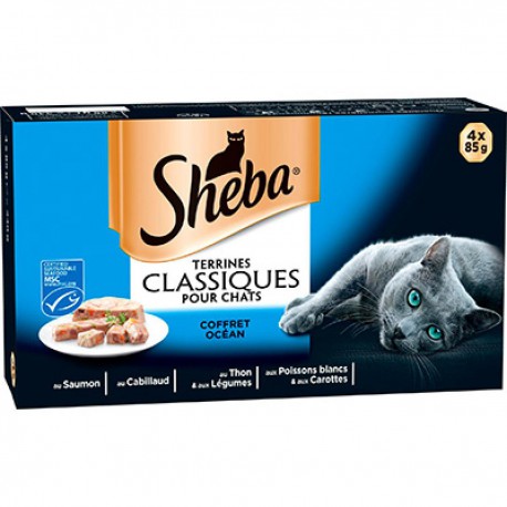 Sheba Sheba Océan 4X85G