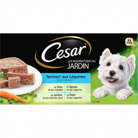 Cesar Trad Gourm 4X300G