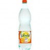 Bouteille Pet 1.25L Eau Agrume Salvetat