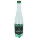 Badoit Bouteille Plastique D'Eau Pétillante Minérale Gazeuse De 50 Cl