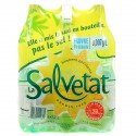 Salvetat E.Min.Gaz Pet 6X1L25