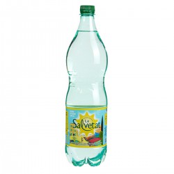 Pet 1.25L Eau Gaz N2 Salvetat