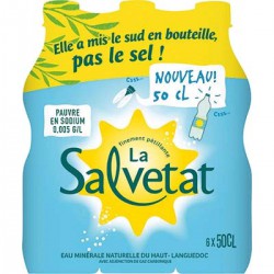Salvetat Eau.Min.Gaz 6X50Cl