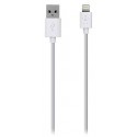 Belkin Cable Lightning 2M