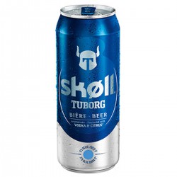 Skøll Bière Aromatisée Ice Berry Tuborg : La Canette De 50Cl