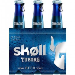 Pack Bouteille 3X33Cl Biere Skoll Tuborg