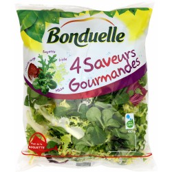 Salade Gourmande 280G Bon
