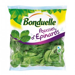 J.Pousse Epinard 100G.Bon