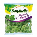 J.Pousse Epinard 100G.Bon