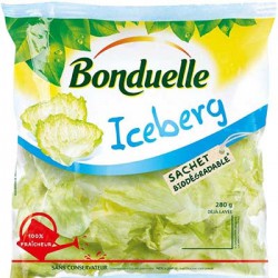 Laitue Iceberg 280G Bond.