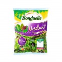 Sachet Mesclun 145G Bond.