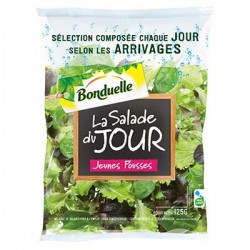 Salade Du Jour 125G Bondu