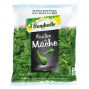 Feuille Mache 100G Bondue