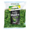 Feuille Mache 100G Bondue