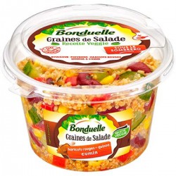 300G Gds Sauce Cumin Bonduelle