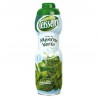 Sir.Menth.Teisseire 75Cl