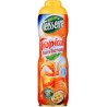 Bidon 60Cl Sirop Tropical Teisseire